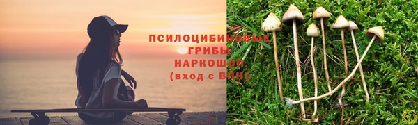 спайс Чегем